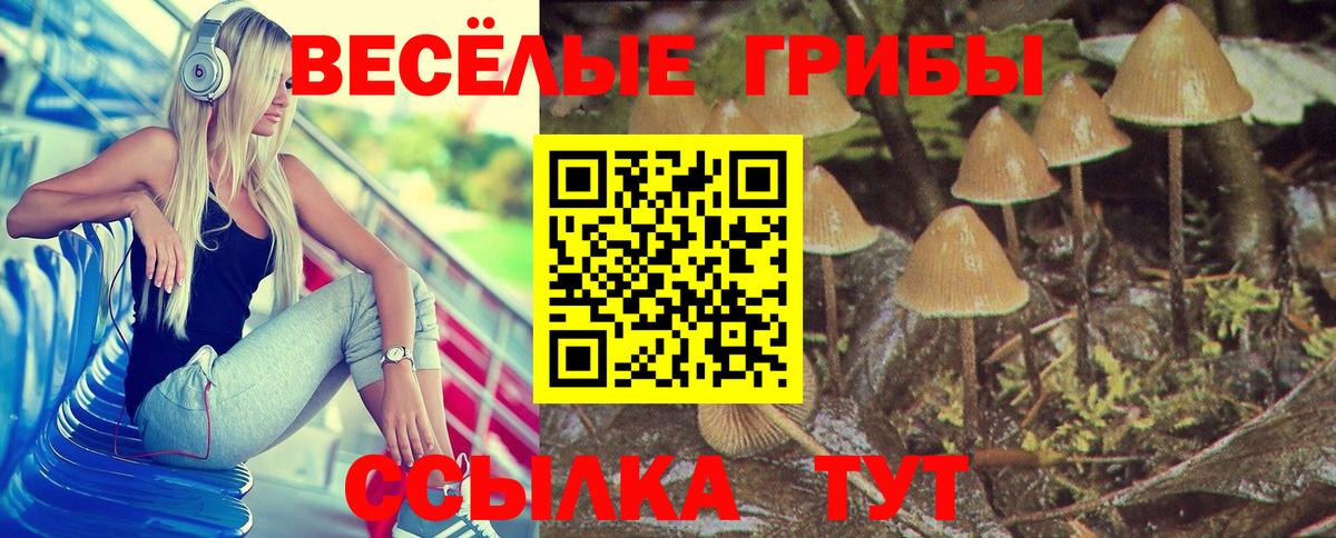 Каннабис  Alpha PVP СК кристаллы  Меф кристаллы  МДМА  Нижнекамск  Вход с VPN  COCAIN  ГАШ 