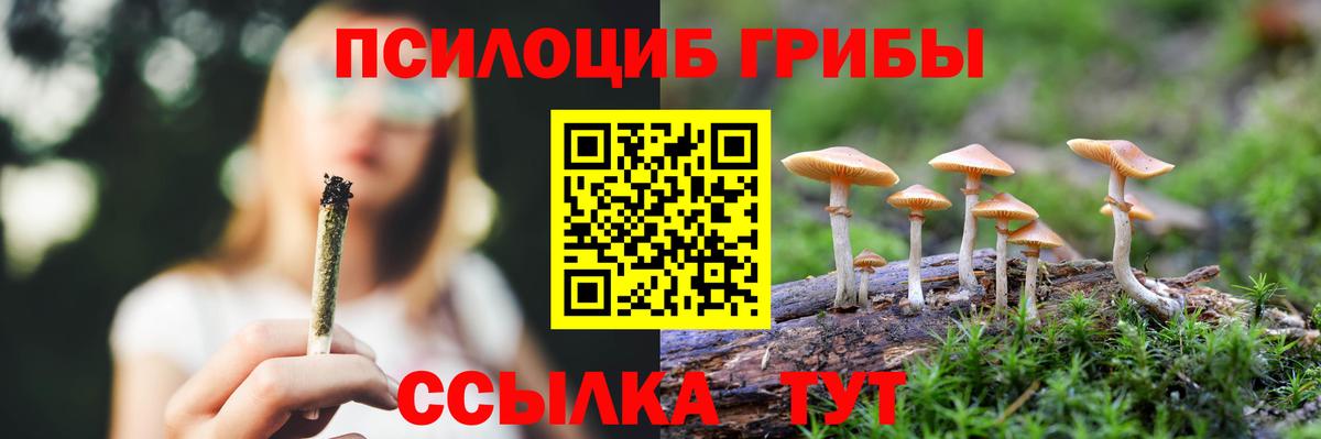 Псилоцибиновые грибы GOLDEN TEACHER Нижнекамск