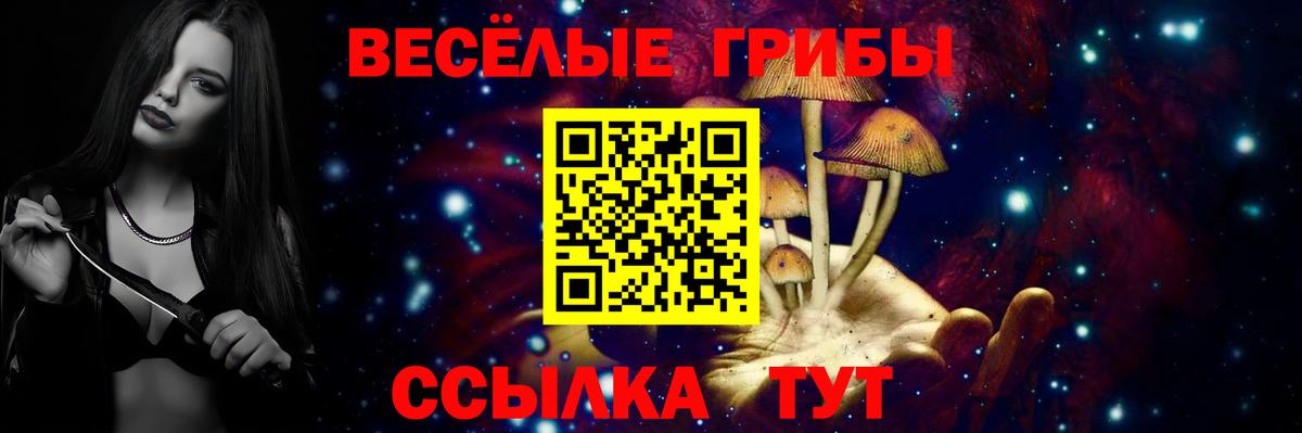 Нижнекамск  Галлюциногенные грибы Psilocybe  где купить   Вход с VPN 